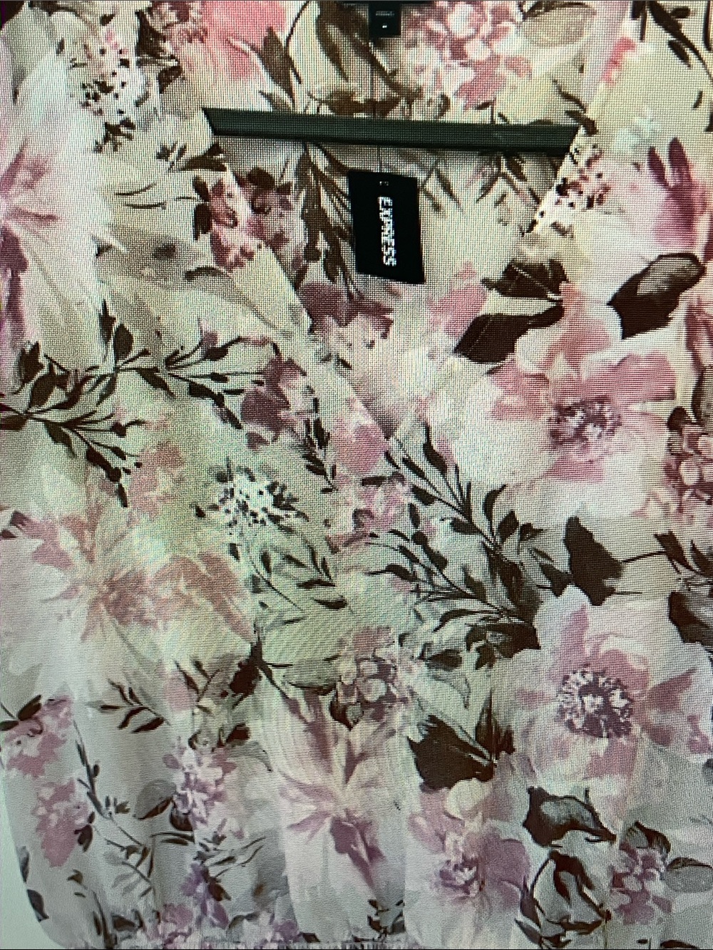 Express Cream Floral V-Neck Top with Pink and Brown Blooms